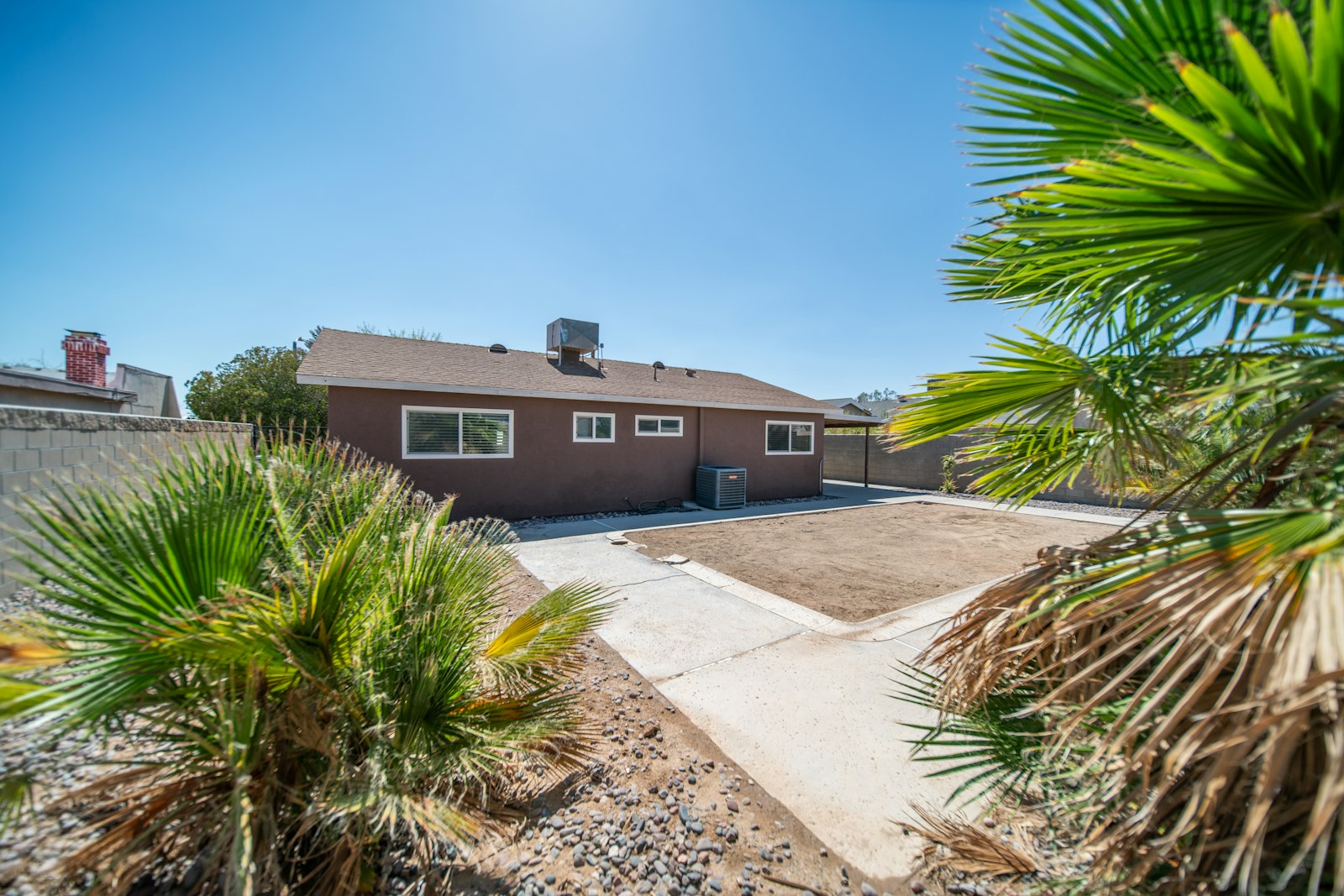 Skinned queen palm and trimmed shrubs framing the entry of a Sun City–style ranch home.